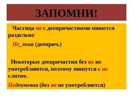 Частица не пишется слитно в слове