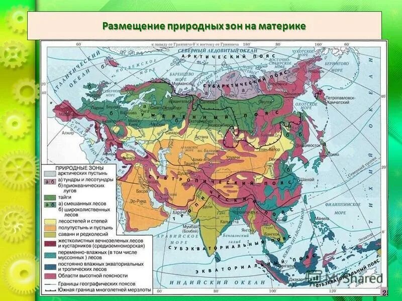 Тест по теме природные зоны 1 вариант