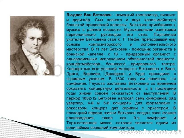 Биография бетховена кратко 5 класс. Краткая биография Бетховена. Биография Бетховена кратко. Биография Бетховена кратко 3 класс.