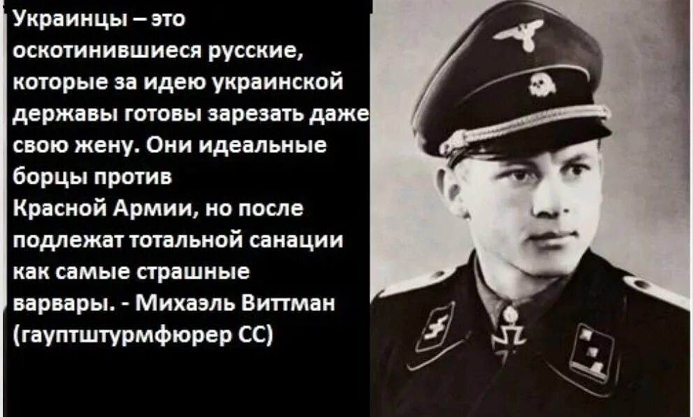 Михаэль Виттман об украинцах. Про украинцев высказывания. Украинцы это оскотинившиеся русские. Высказывания немцев о украинцах. Украинцы это оскотинившиеся