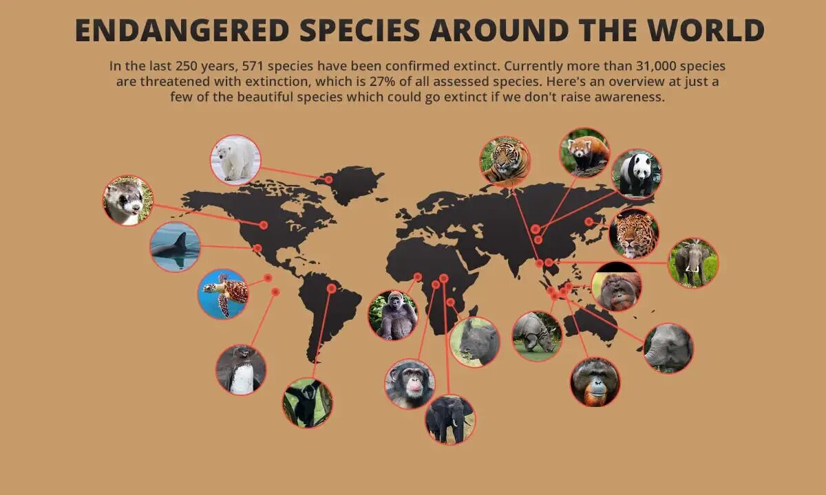 Extinction species Map. The problem of endangered species. Endangered species перевод. Number of endangered species. Our endangered planet