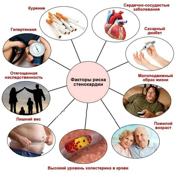 Является причиной сердечных заболеваний. Факторы риска стенокардии стенокардии. Факторы риска ИБС стенокардии. Факторы возникновения стенокардии. Факторы риска развития приступа стенокардии.