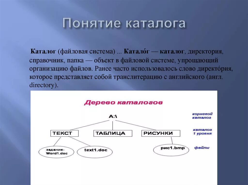 Понятие каталога. Понятие папки каталога директории. Понятия папки каталона директо. Каталог это в информатике.