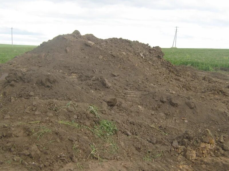 срезка грунта. плодородный слой грунта. грунт мордовии. снятие растительного грунта. луговые черноземовидные почвы.