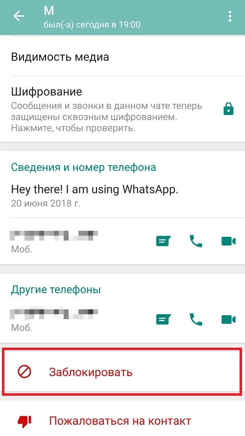 Контакт заблокирован в ватсапе. Заблокированные контакты в вотсаппе. Блокировка контакта в WHATSAPP. Заблокировать абонента в ватсапе. Блокировка контакта в ватсап
