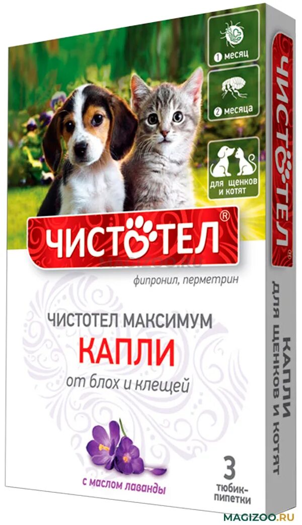 Ошейник от блох чистотел. Чистотел максимум ошейник. Чистотел капли от блох и клещей максимум для щенков и котят. Капли от блох "чистотел -максимум" д/щенков котят с603. Чистотел ошейник от блох и клещей максимум для кошек.