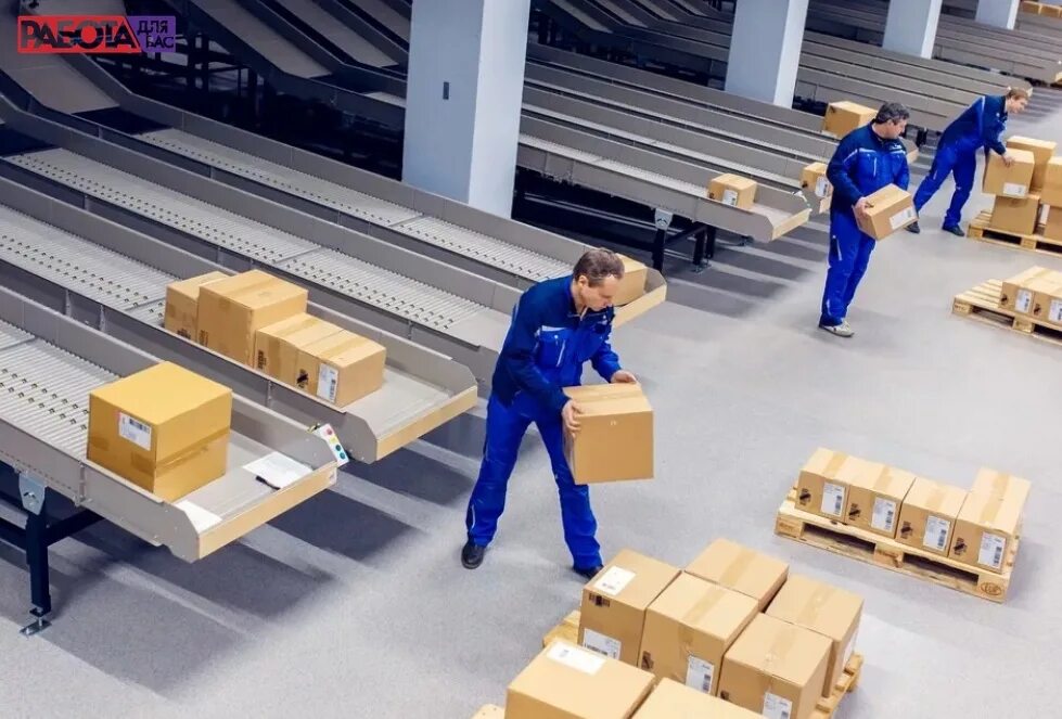 Рабочие на стройке. Работа строителем без опыта работы. Архитектор на стройке. Строитель. Работа строителем без опыта работы.