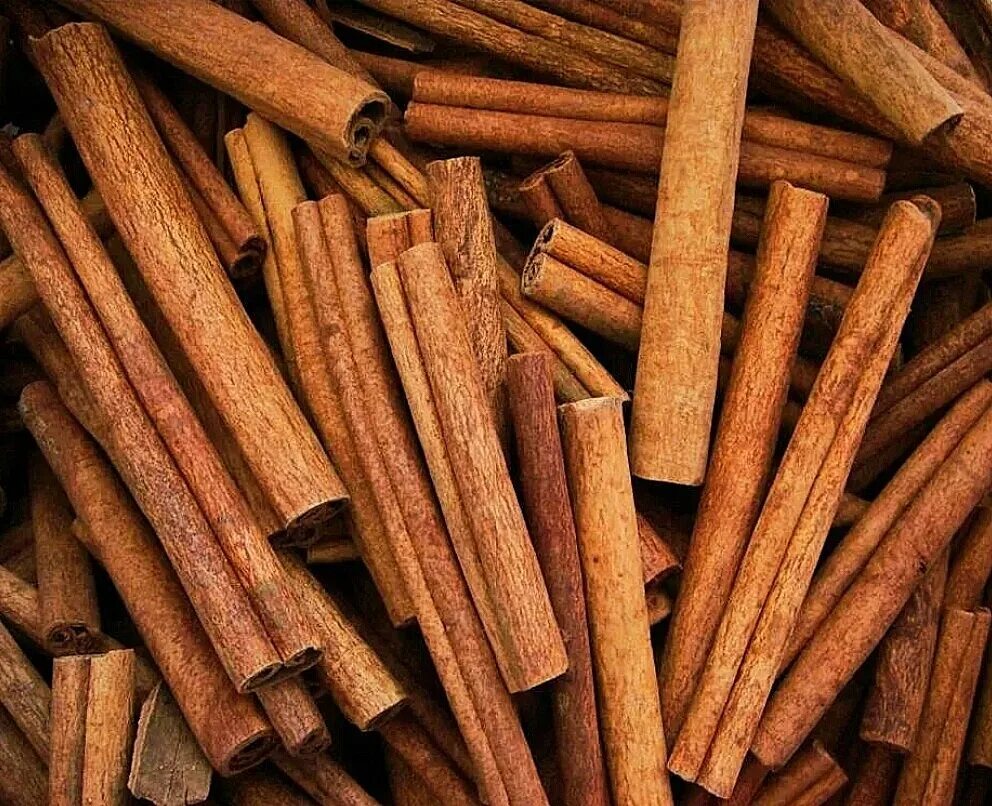 Cinnamomum Cassia. Корица и Кассия. Cinnamomum zeylanicum. Корица палочки. Трубочки корицы