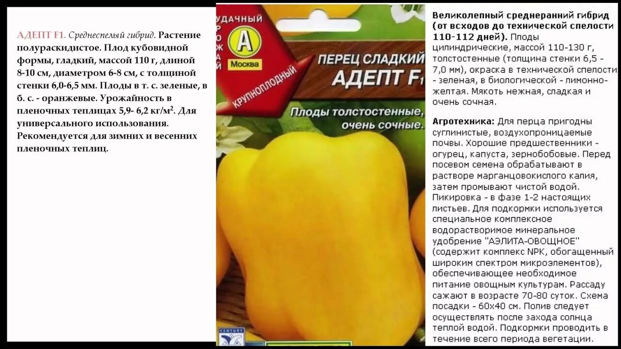 Перец мегатон отзывы фото. Перец адепт. перец сладкий адепт. бон аппетит перец сладкий. перец адепт описание.