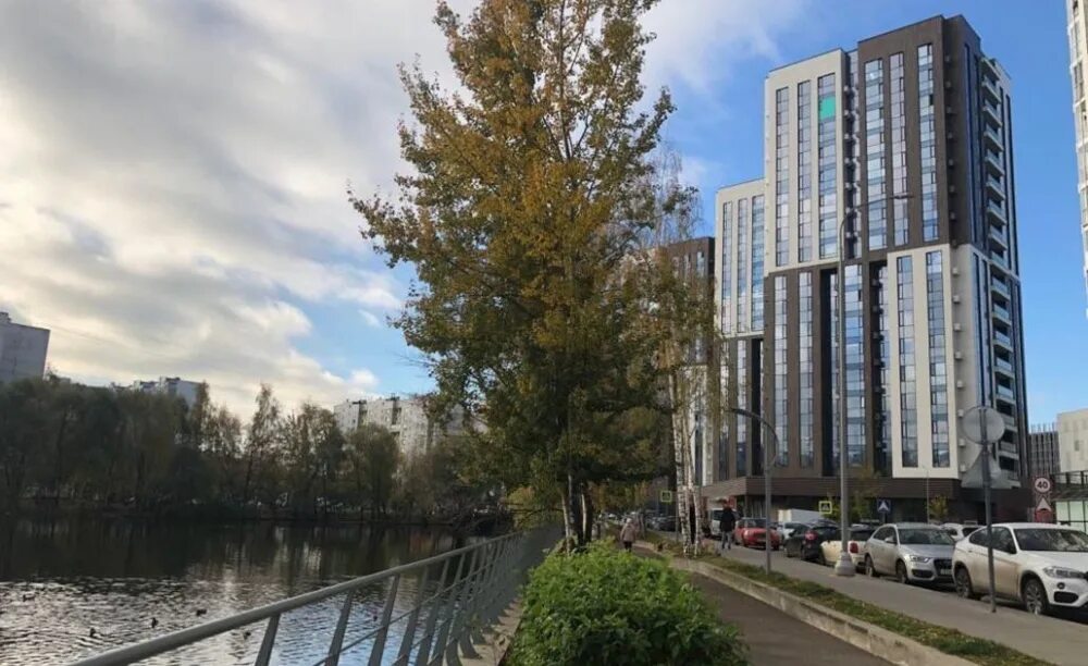 парк сокольники аллеи. парк сокольники центральная аллея. измайловский парк москва. парк красная пресня. александровский сад москва.