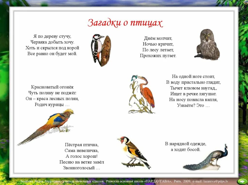 Загадки окружающий мир 1 класс. Загадки про лесных птиц. Загадки про птиц для детей 4-5 лет с ответами. Загадки для детей про птиц с ответами для 5 лет. Загадки про диких птиц.