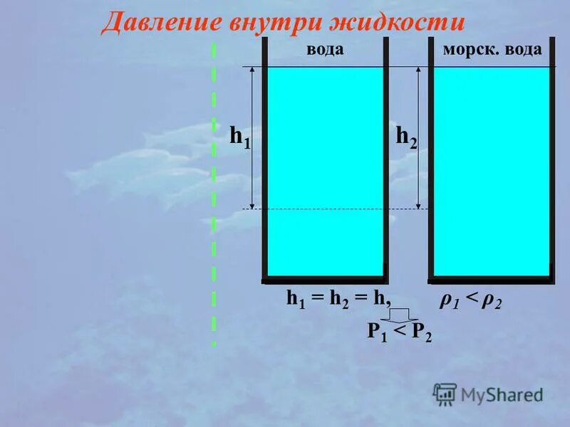 Давление внутри жидкости. Давление внутри жидкости на глубине h. Сравнение давления внутри жидкости. Формула давления h1 и h2.