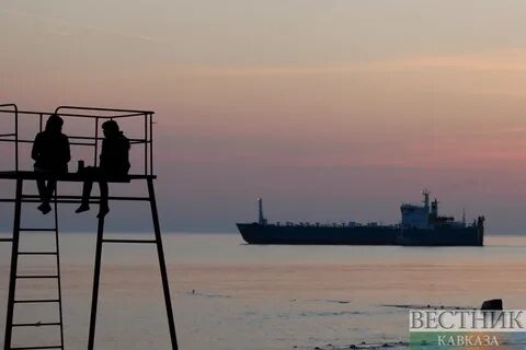 Сбор краснодарский край