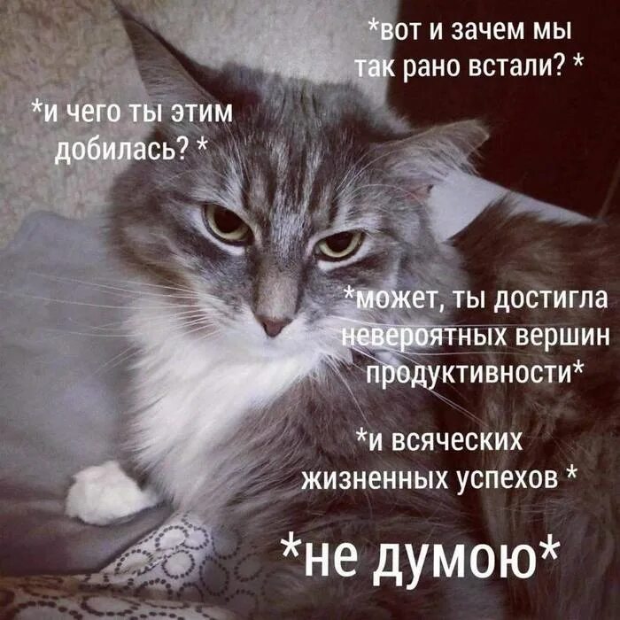 Почему рано не хотеть