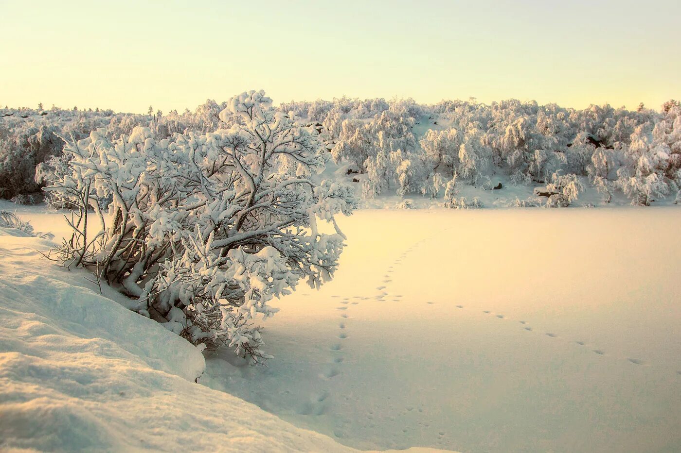 После зимней стужи по полям бегут. Зима в Оренбургской области. Волгоград природа зимой. Оренбургская область зимой.