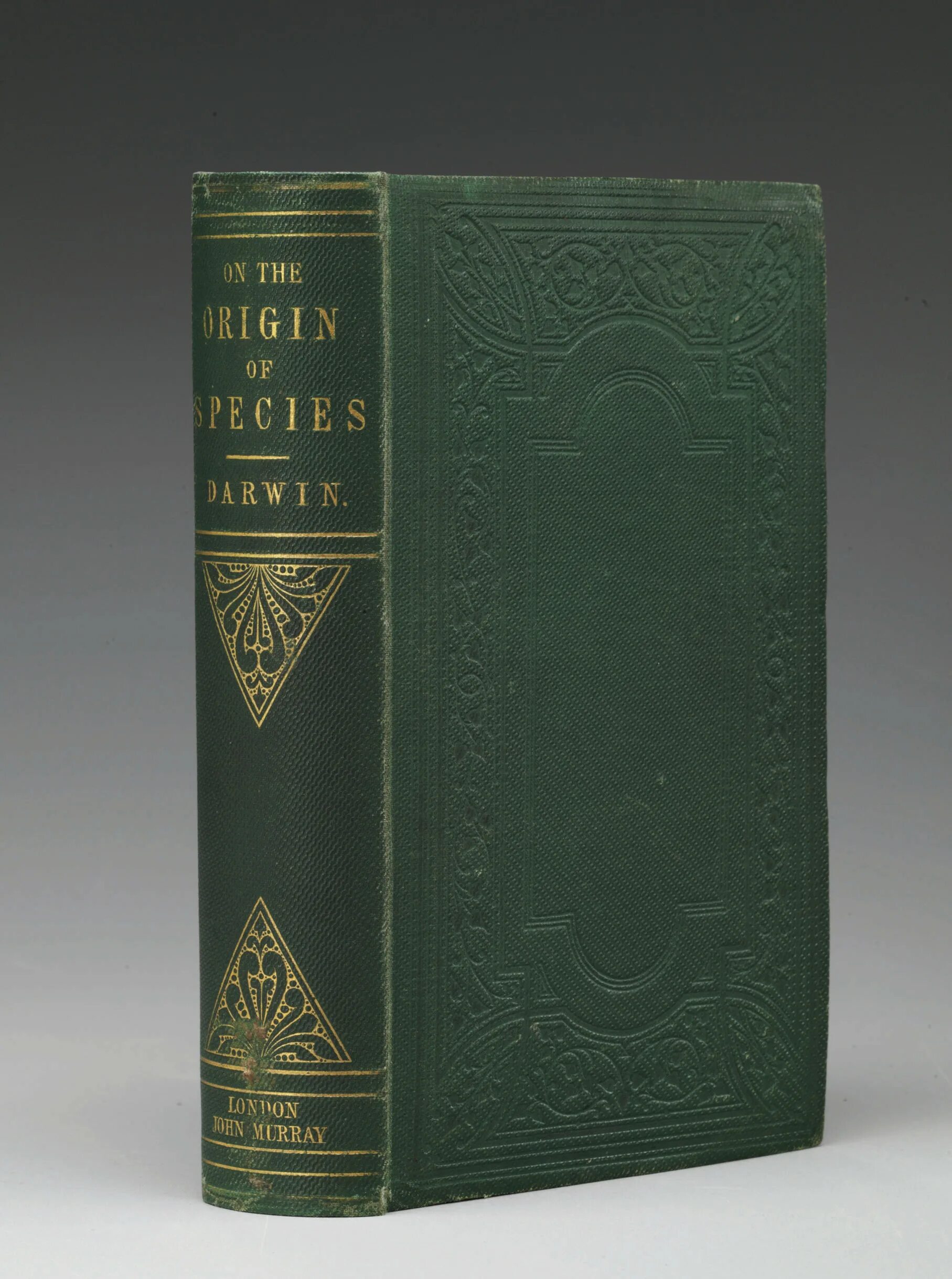 Книга Дарвина «происхождение видов путем естественного отбора» (1859).