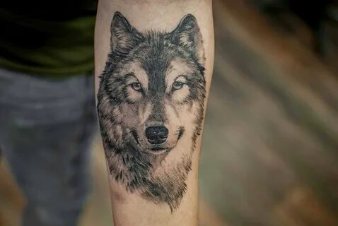 Тату волк (73 фото) - значение, лучшие эскизы с татуировкой волком для мужчин и 