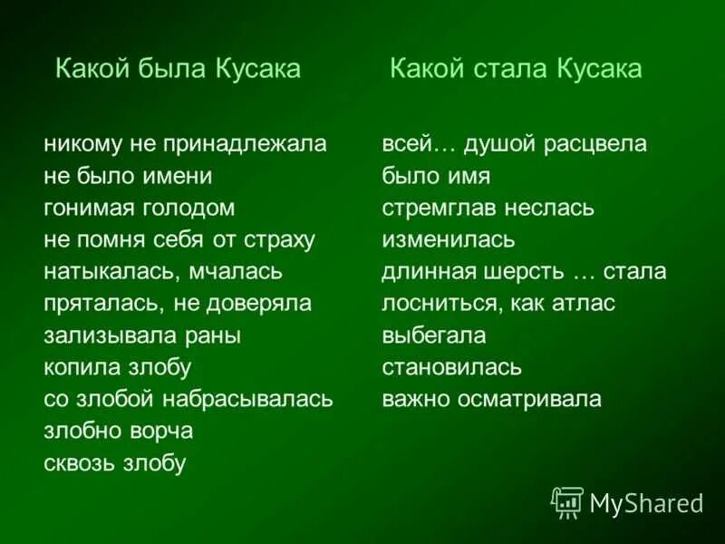 Кусака краткое содержание 5. Цитатный план рассказа кусака. План рассказа кусака 7 класс. Кусака урок литературы 7 класс.