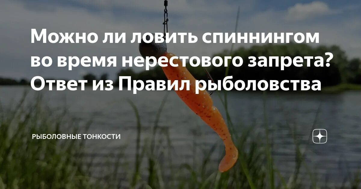Можно ли ловить фидером в нерестовый запрет. Нерестовый запрет ловля на спиннинг. нерестовый запрет спиннинг. можно ли рыбачить на спиннинг в нерестовый запрет. спортивная рыбалка в нерестовый запрет.