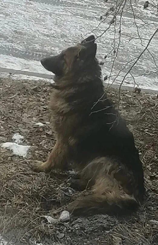 К сожалению уже нет