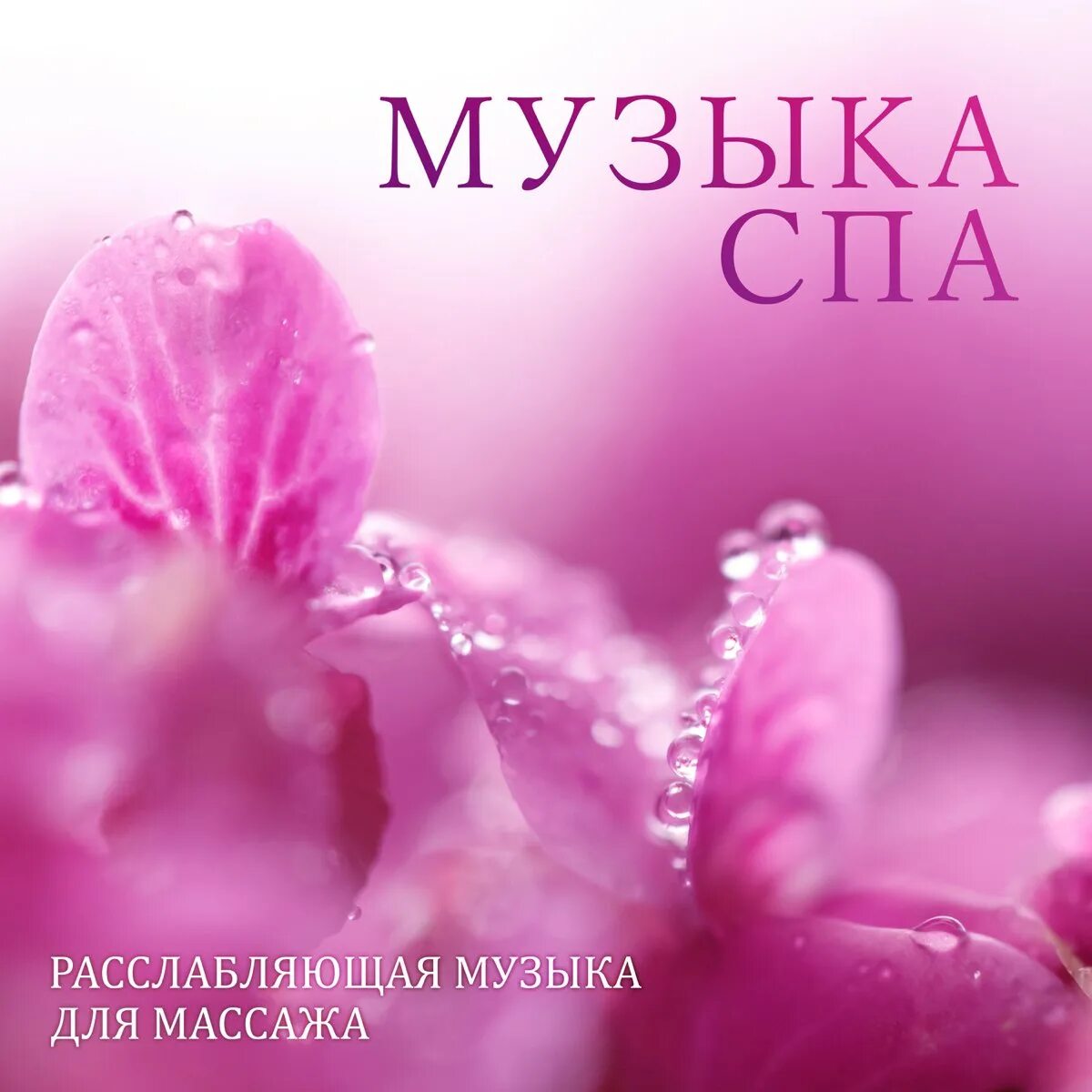 Музыка для спа. Расслабляющая музыка для спа. Расслабляющая мелодия. Спа песни. Красивая музыка для массажа слушать