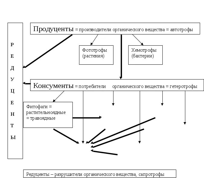 Тест экосистема 11 класс