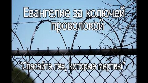 Через проволоку