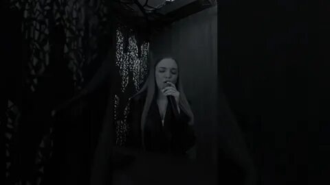 Артик феникс