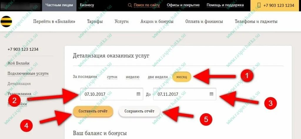 Детализация звонков в ватсапе. Детализация переписки в WHATSAPP. Детализация оказанных услуг Билайн. Картинки детализация звонков.