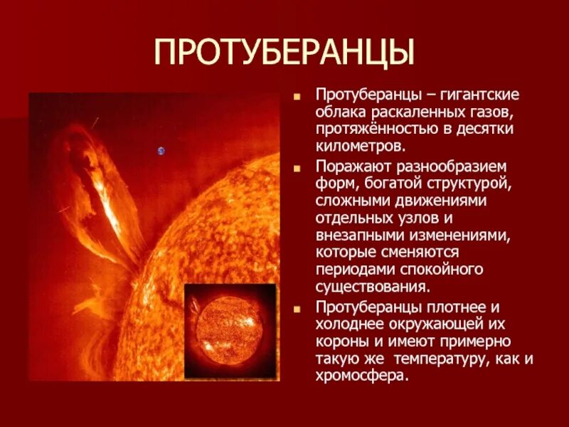 Поражает своим разнообразием