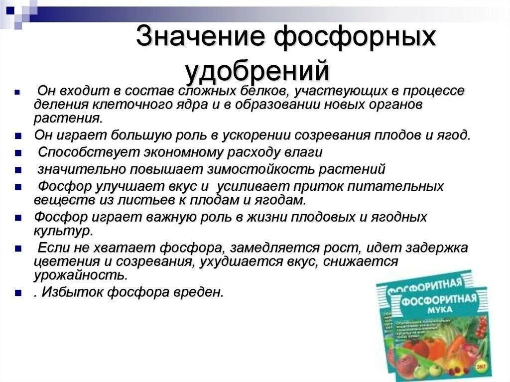 Чему способствуют фосфорные удобрения. Фосфорные удобрения химия 9 класс информация. особенности фосфорных удобрений. значение фосфорных удобрений. фосфорные удобрения функции.