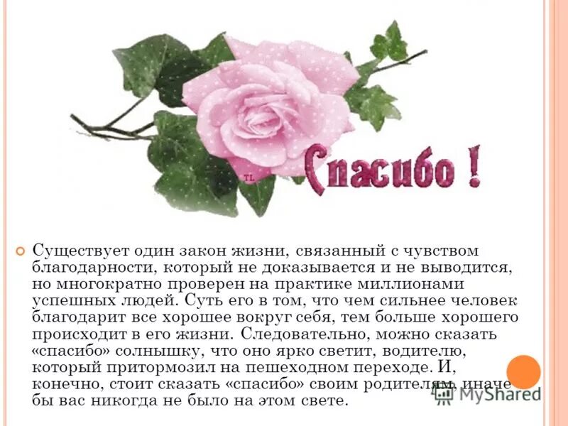 Информация о дне спасибо. Спасибо за концерт спасибо за эмоции. 11 Января спасибо история праздника. День спасибо презентация.