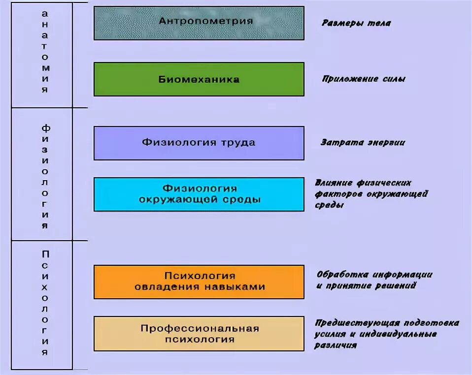 Классификация эргономики. Компоненты эргономики. Классификация эргономических исследований.. Социально психологические факторы эргономики. В зависимости от результата выделяют