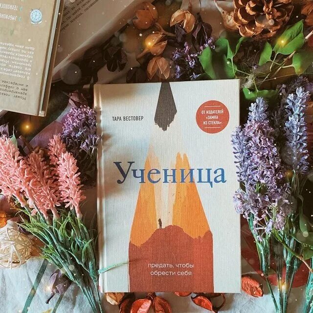 Ученица предать чтобы обрести себя. Ученик книга 8 читать