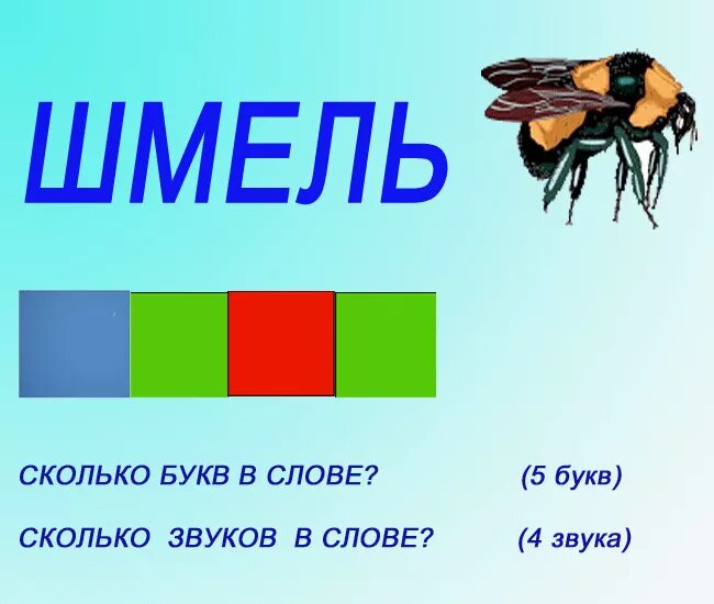 Играли сколько звуков. Шмель звуковая схема. Звуковой анализ Шмель. Шмель звуковой разбор. Шмель звуко-буквенный разбор.