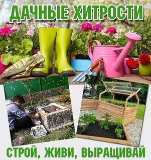 Дачные хитрости советы