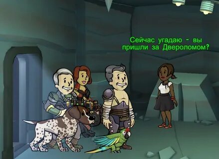Жители фоллаут