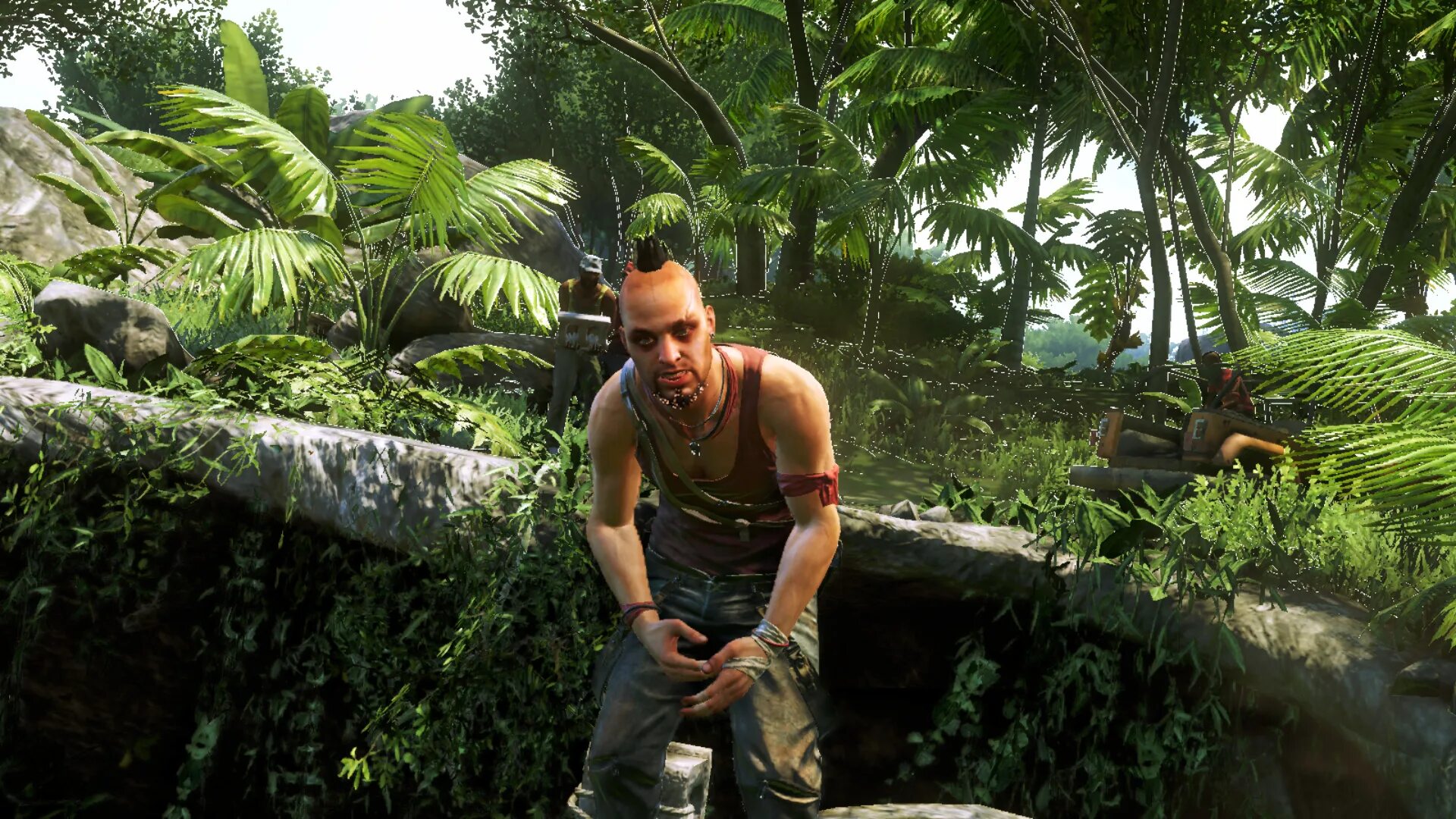 Far cry 3 механики на русском. Фар край 3 доктор Эрнхардт. Ваас Монтенегро. Ваас фар край 3. Фар край 3 4 5 6.