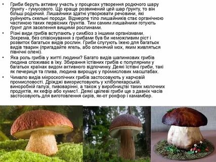 Яка роль