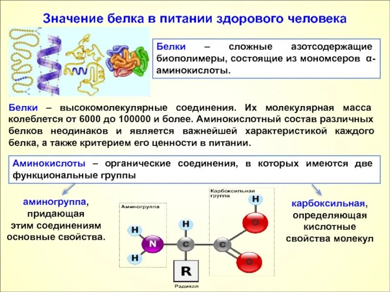 Группы соединений белков