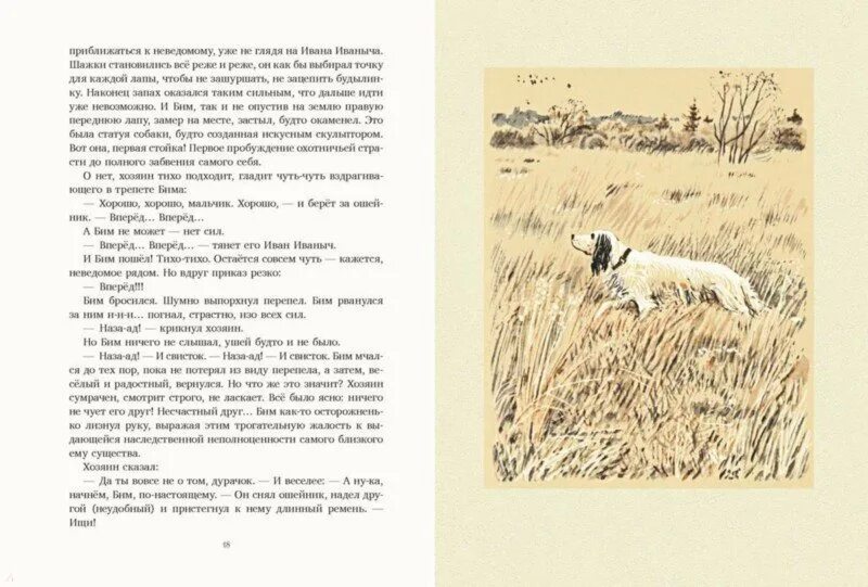Бим черное ухо читать полностью. Книга г Троепольского белый Бим черное ухо. Белый Бим иллюстрация Троепольский.