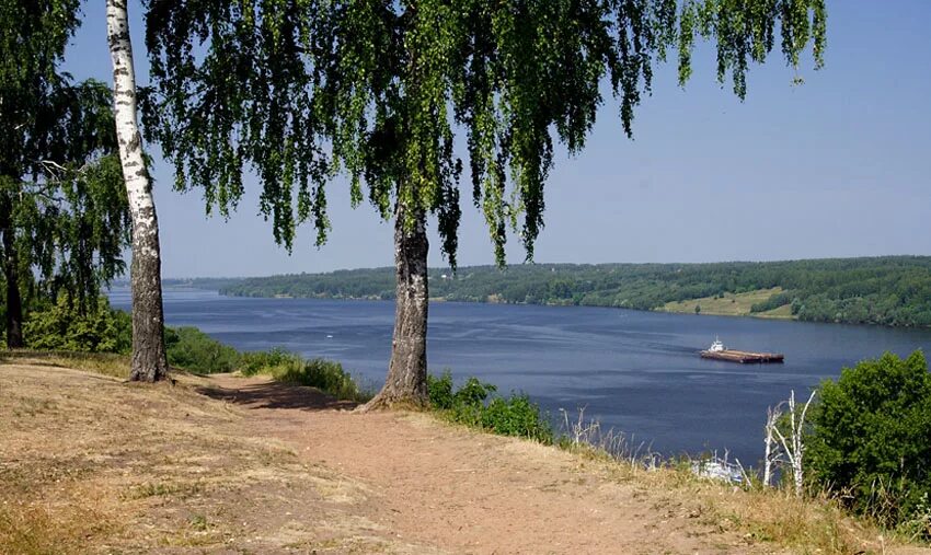 Волжская березка. Усадьба Волжские просторы Ступино. Волга река Заволжск. Волжские просторы Саратов. Михальчиково река Волга.