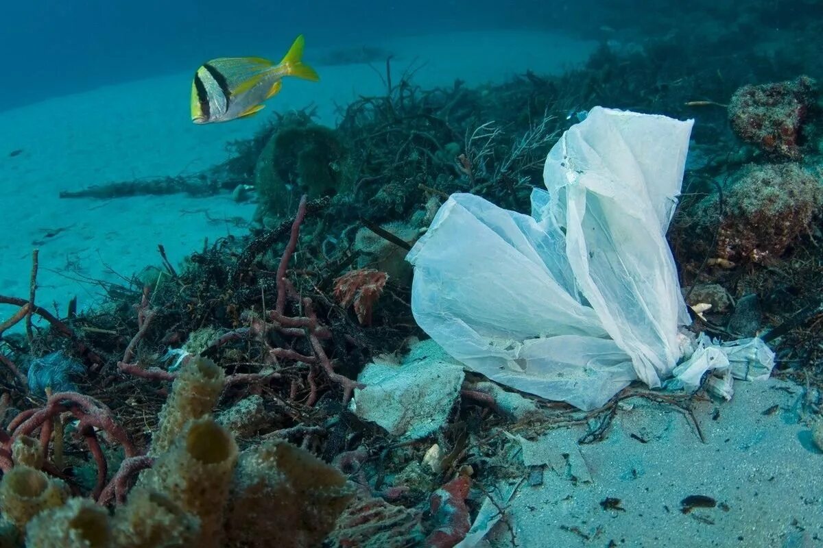 Пластиковые пакеты в океане. Экология морей и океанов. Загрязнение океана. Пластик в морях и океанах. Влияние океана на сушу