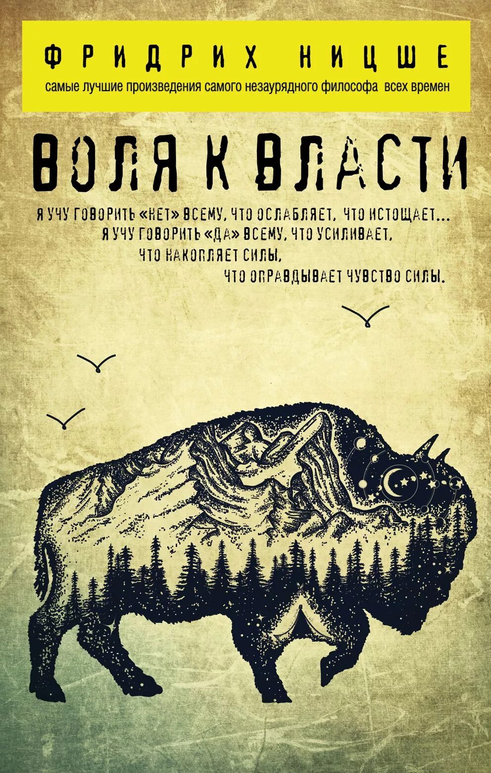 Воля к власти Ницше. Воля к власти книга. Книга Воля к власти (Ницше ф.). Воля к власти Ницше обложка.