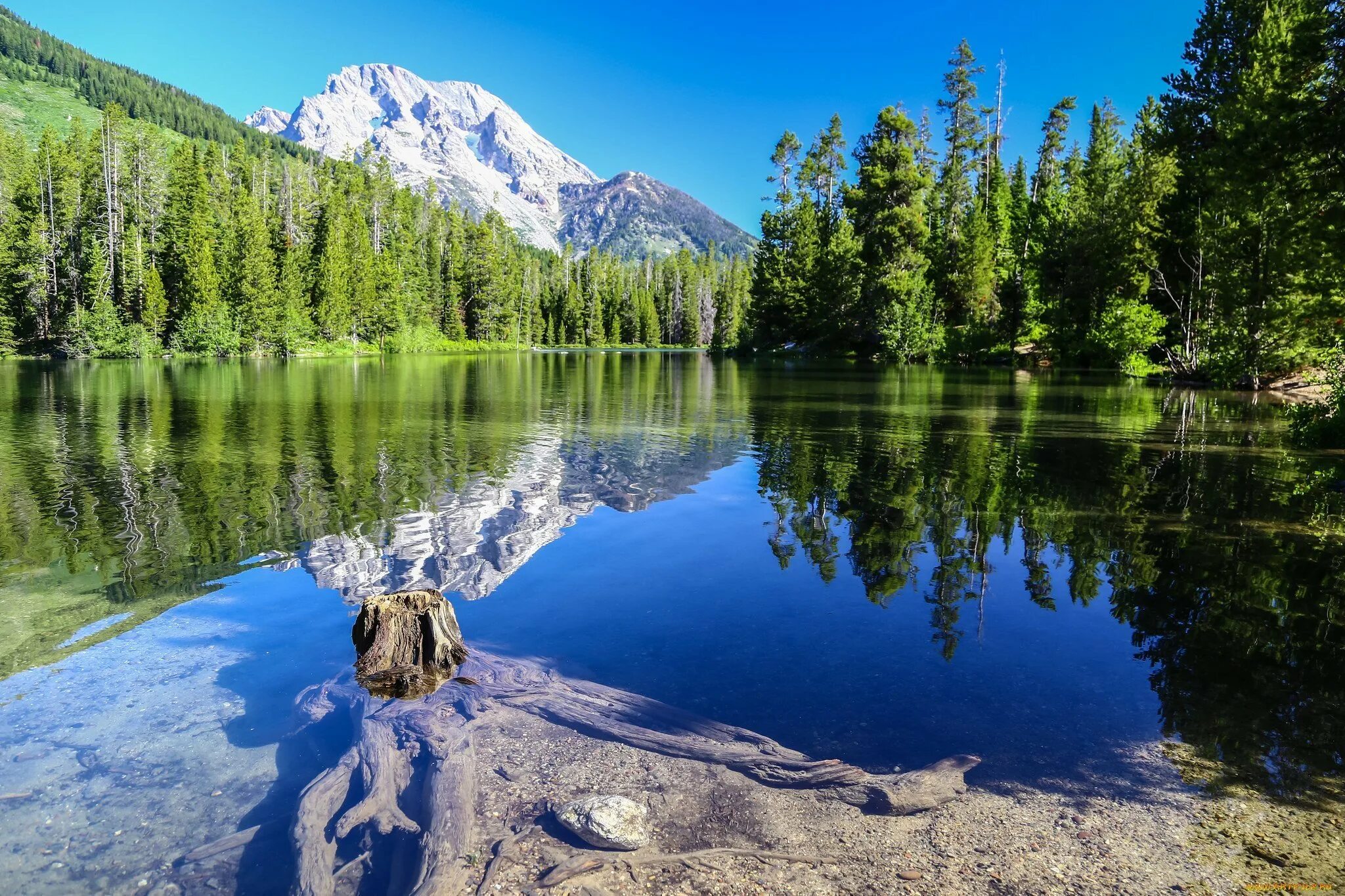 Хобокское озеро Тункинская Долина. Природа река озеро лес горы. Горы реки и озера России. Горное озеро.