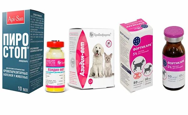 Препараты против пироплазмоза собак. Лекарство от пироплазмоза у собак. Пироплазмоз лекарство для собак. Препараты от бабезиоза собак.