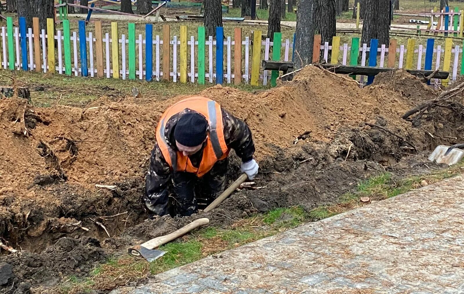 Подслушано в шарье обо всем. Музей леса Шарья. Музей леса в Шарье. Подслушано в Шарье Костромской обл. Подслушано в Шарье.