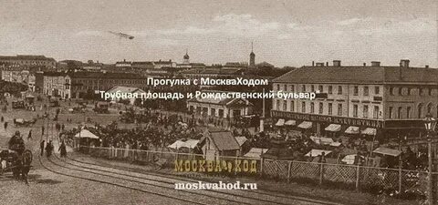 Сайт москвахода