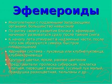 Эфемероиды это