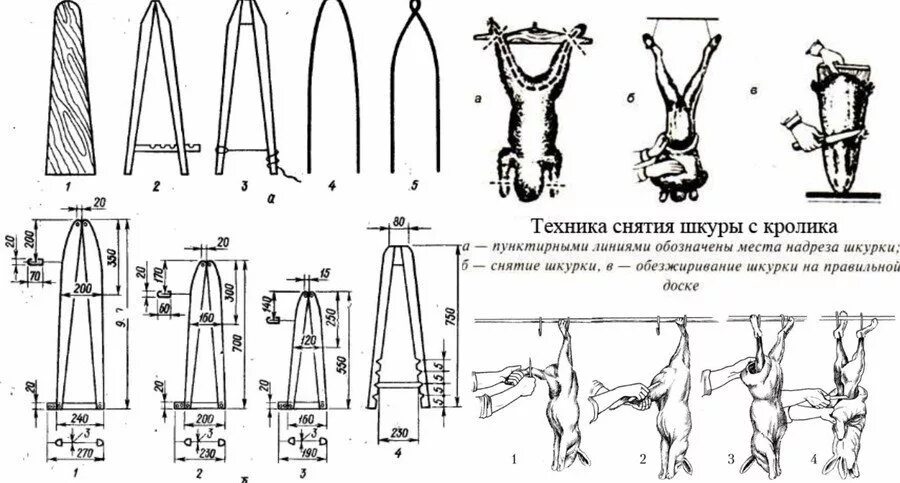 Переработка кроликов. Технологическая схема обработки шкурок кроликов. Технологическая схема обработки шкур кроликов. Технологическая схема разделки кролика. Рогатка для забоя кроликов.